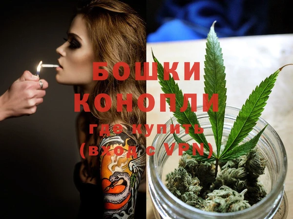 ешки Аркадак