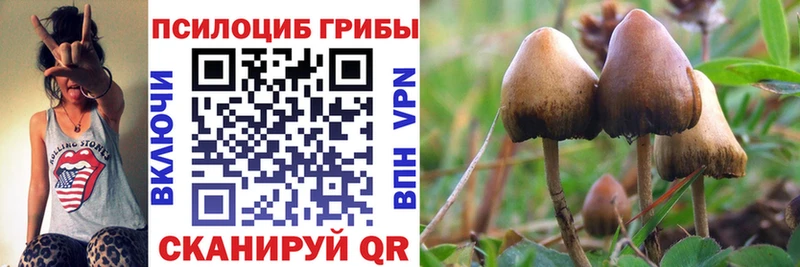Псилоцибиновые грибы мицелий  Пушкино 