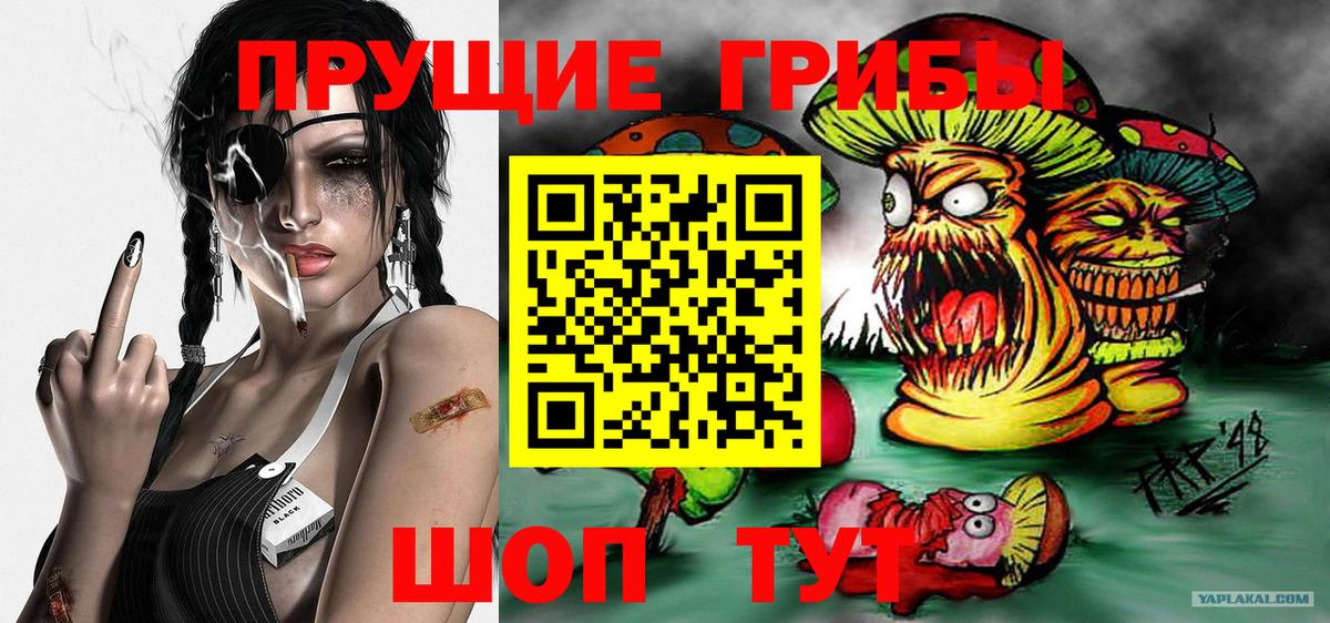 Пушкино  Галлюциногенные грибы Psilocybe  Галлюциногенные грибы Cubensis  Вход с VPN 