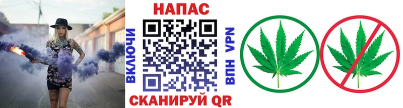 как найти закладки Пушкино МАРИХУАНА THC 21%